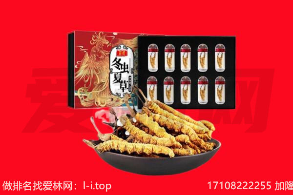 白山市临江回收虫草.jpg